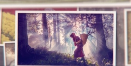 15. Uluslararası Tarım Orman ve İnsan Fotoğraf Yarışması başvuruları başladı
