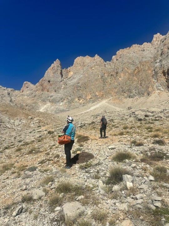 18061AW537513_04 (1).jpg