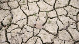 2025 yılı son 61 yılın en kurak yılı oldu