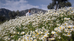 2026 CEMRE TAKVİMİ: Son cemre toprağa düştü mü, bahar ne zaman gelecek?