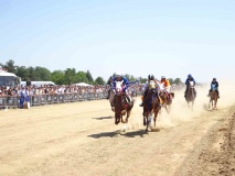 2026 Dişi Tay Deneme Koşusu Ne Zaman? Veliefendi’de Dev Randevu