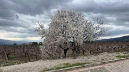 2026 Nevruz Bayramı ne zaman? Bu yıl çifte bayram coşkusu yaşanacak!