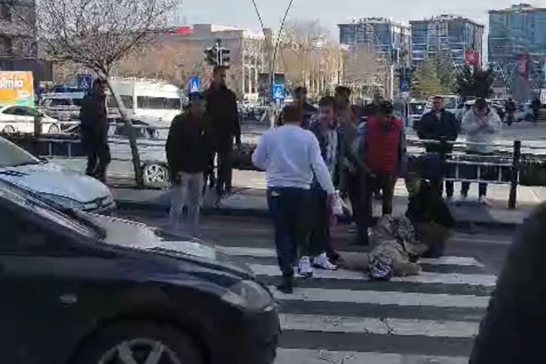 20262WhatsApp Image 2026-01-13 at 16.05.09.jpeg