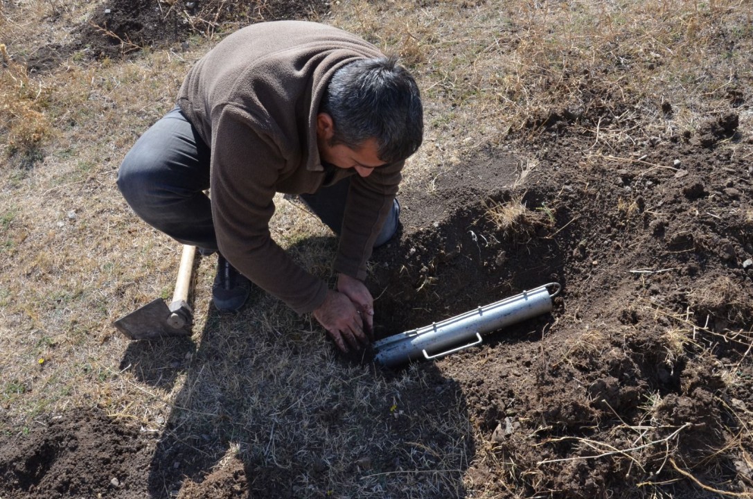 20506WhatsApp Image 2026-01-09 at 09.27.52.jpeg