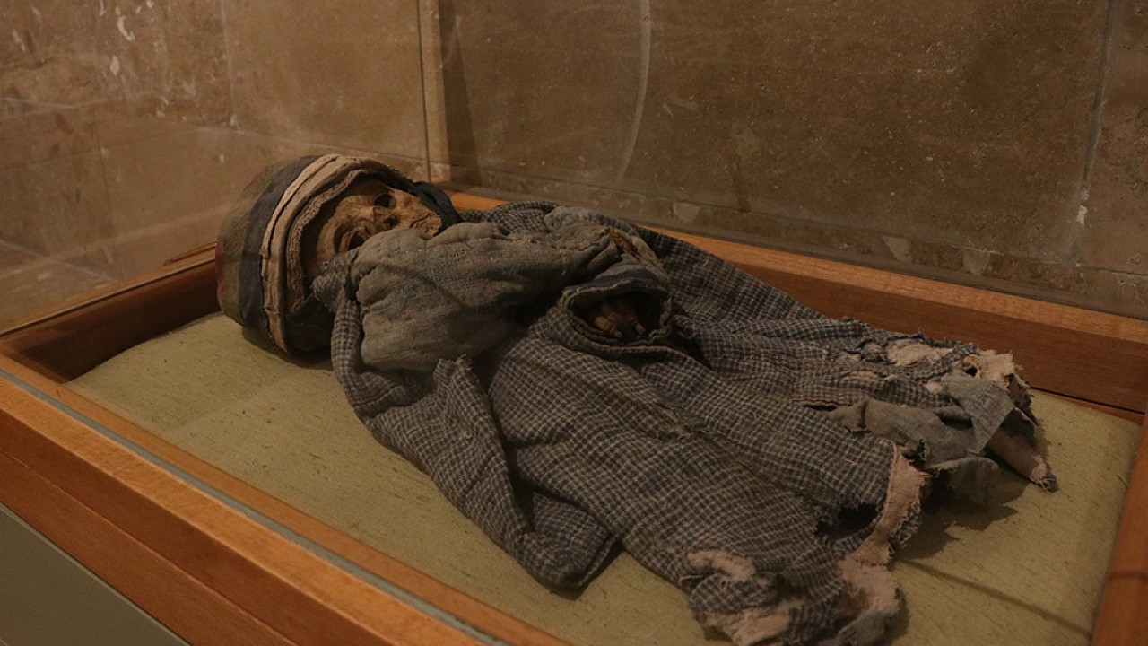 2091mumya5.jpg