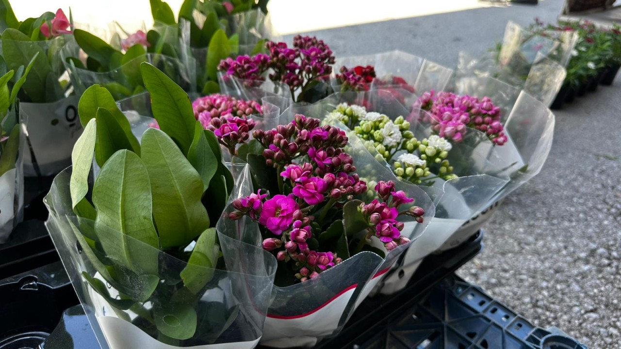 20939WhatsApp Image 2026-04-09 at 16.00.11.jpeg