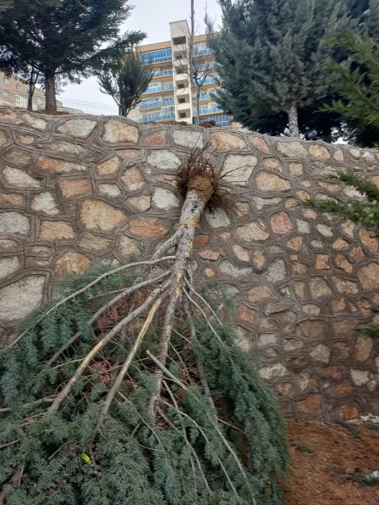 28654WhatsApp Image 2025-12-28 at 11.58.49 (5).jpeg