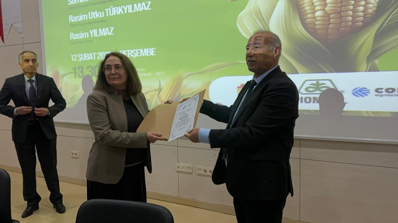 30119WhatsApp Image 2026-02-12 at 16.07.37 (2).jpeg