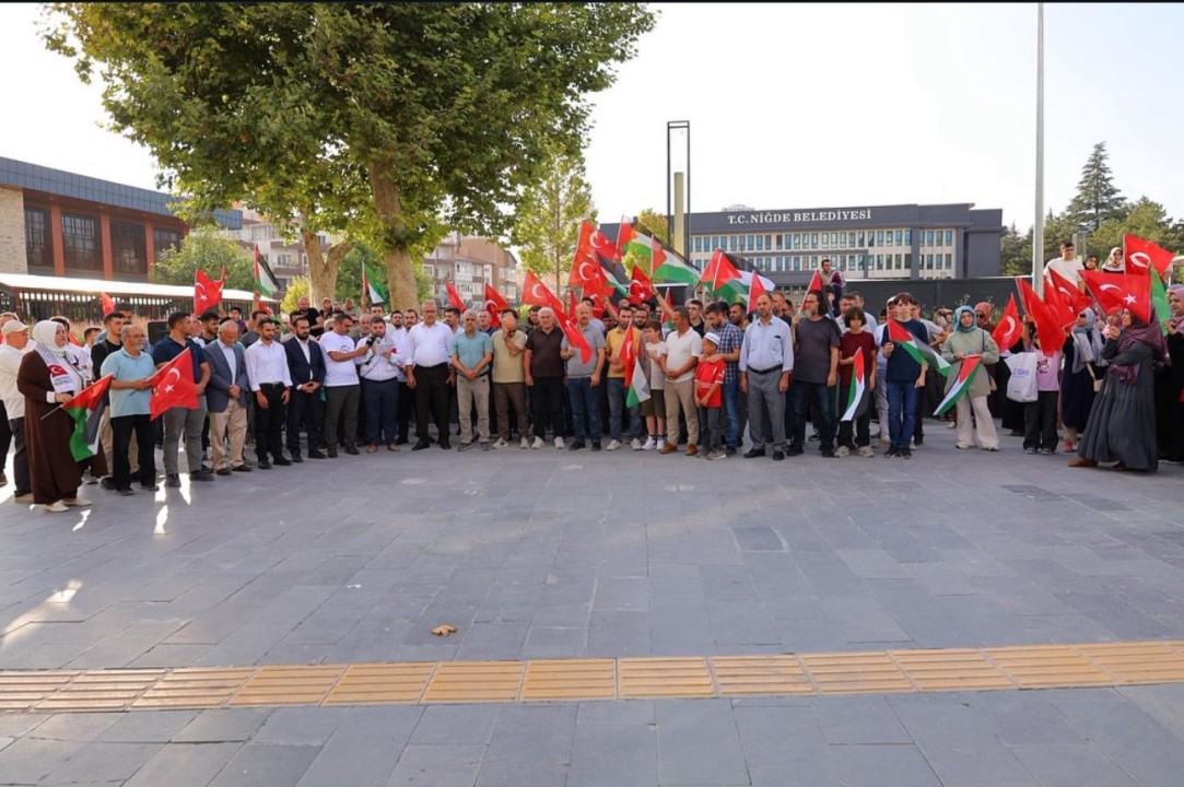 30305543547709_1237441681759921_3925598541009683092_n (1).jpg