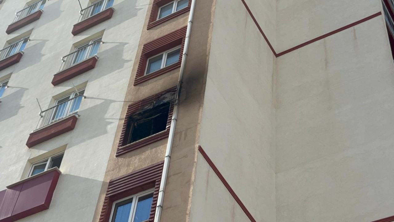 31097WhatsApp Image 2026-04-10 at 16.35.29.jpeg