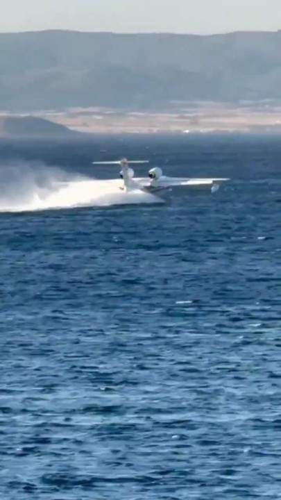 31237AW519223_03.jpg