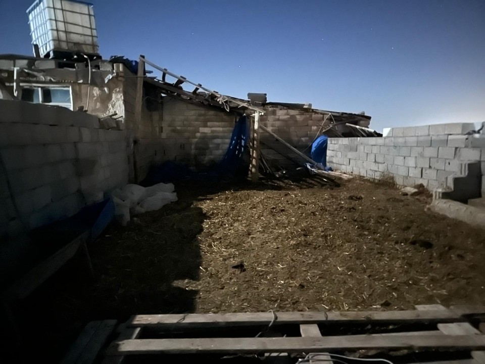 323376d039410-f521-420e-b511-3ed55450a76a.jpeg