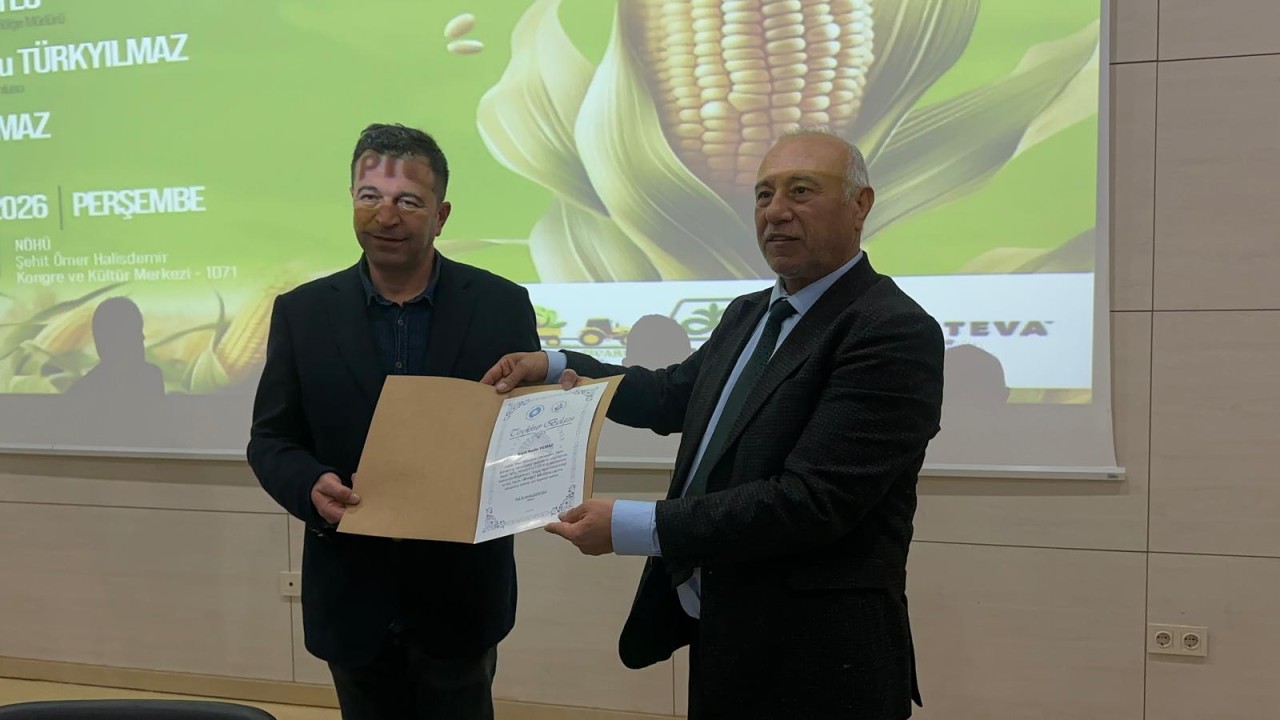 33853WhatsApp Image 2026-02-12 at 16.07.37 (3).jpeg