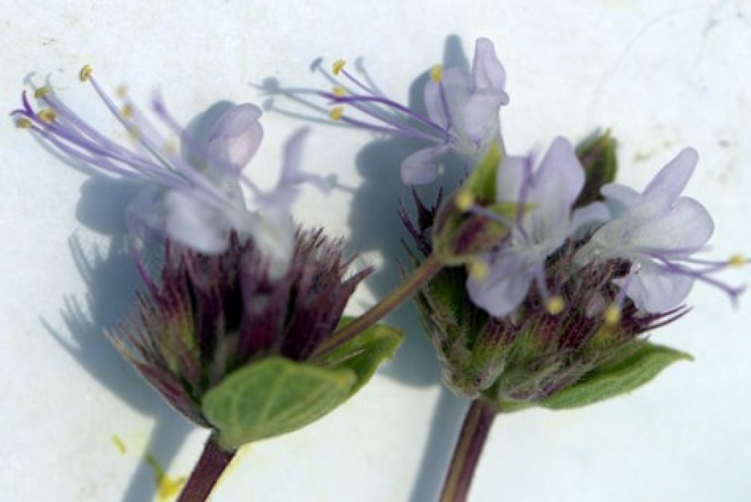 33935WhatsApp Image 2025-11-26 at 11.23.49 (1).jpeg