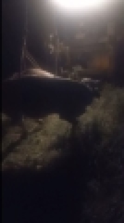 37966AW500559_S03.jpg