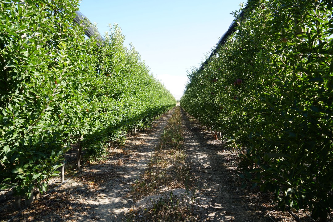 3895AW533684_04.jpg