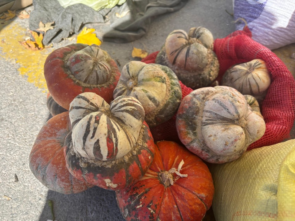 39636WhatsApp Image 2025-11-03 at 11.25.41.jpeg