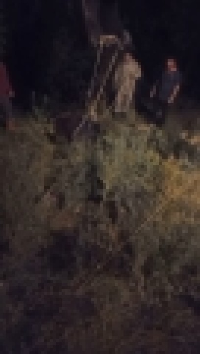 41827AW500559_S02.jpg