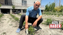 43 yıl aradan sonra sınav sıralarına döndü