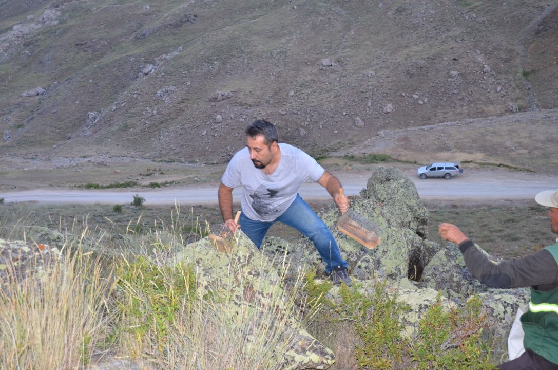 49208WhatsApp Image 2026-01-09 at 09.28.22.jpeg