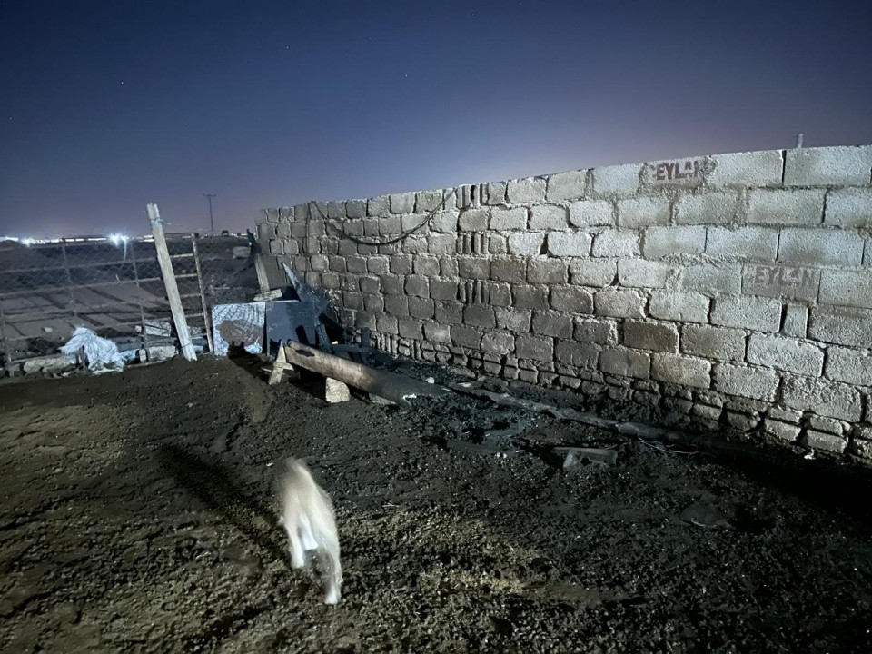 4953431128089-5de2-4c93-882d-b70bc58fde82.jpeg