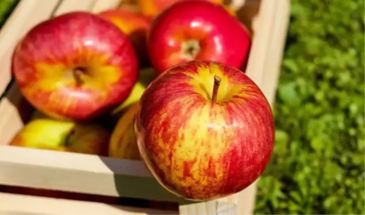 5 Mayıs Hıdırellez Gecesi'nin Sırrı: Yastık Altına Elma Kabuğu Koymak Ne Anlama Geliyor?