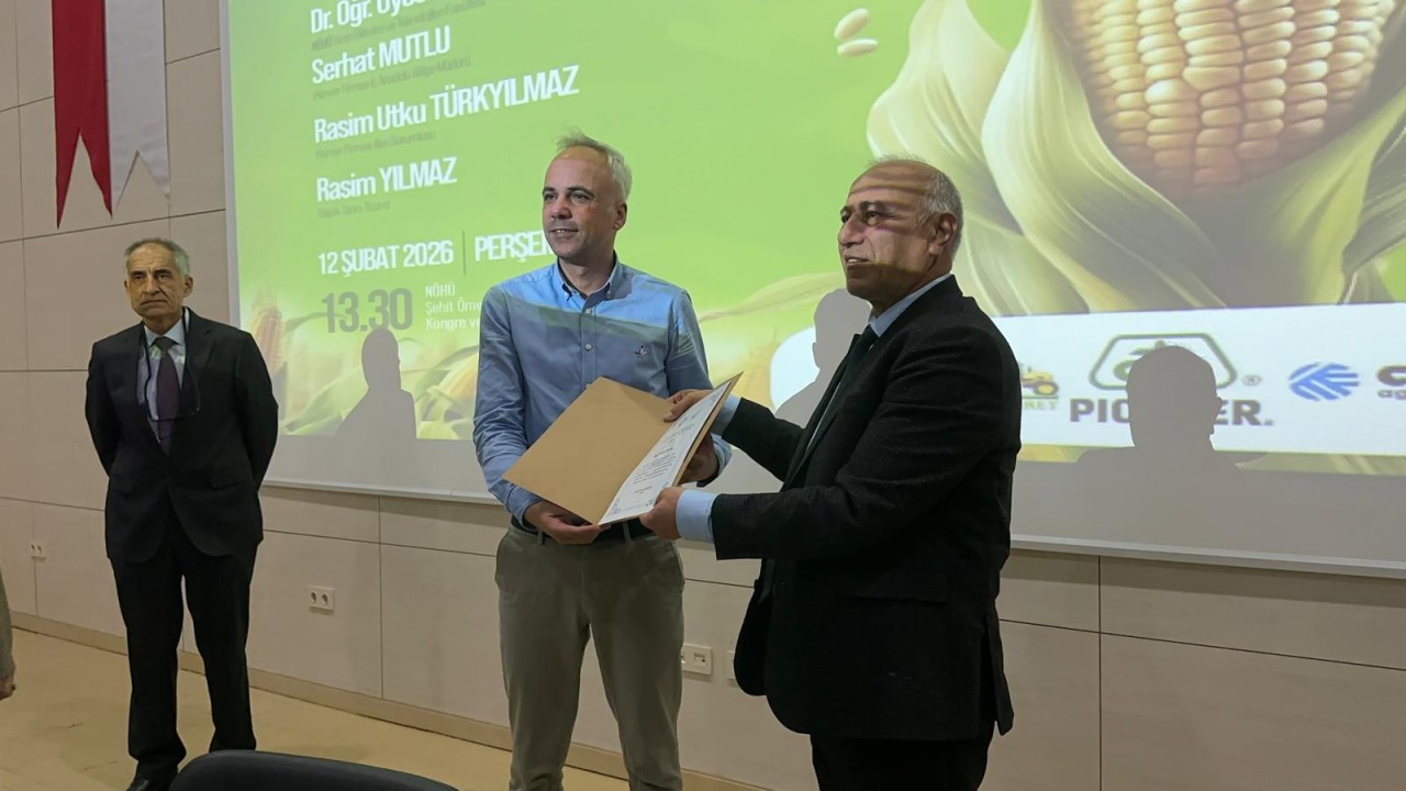 739WhatsApp Image 2026-02-12 at 16.07.37.jpeg