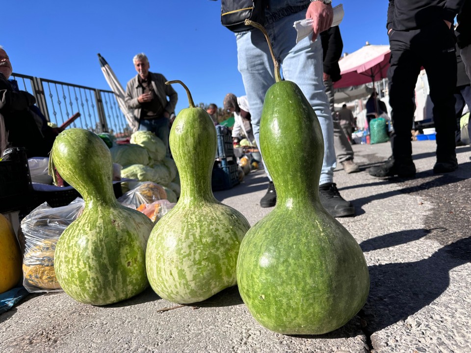 8139WhatsApp Image 2025-11-03 at 11.25.43.jpeg