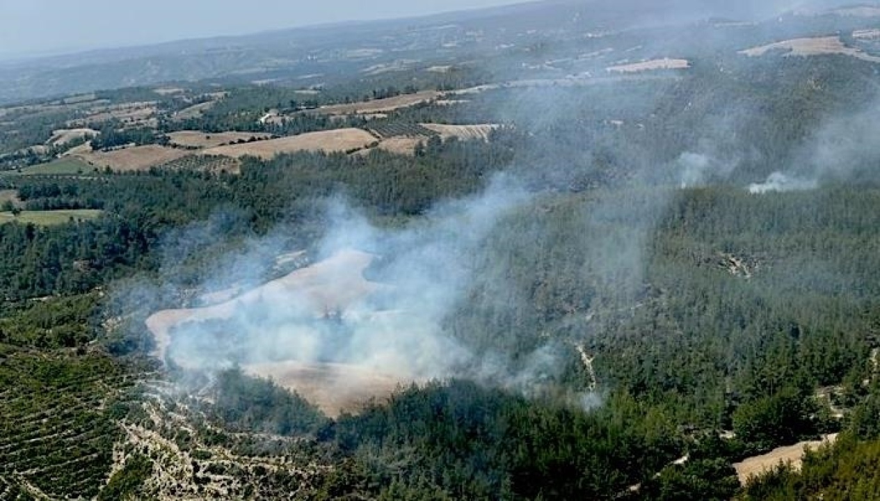Adana’da çıkan Orman Yangını kontrol altına alındı