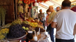 Aktarlarda sonbahar yoğunluğu başladı