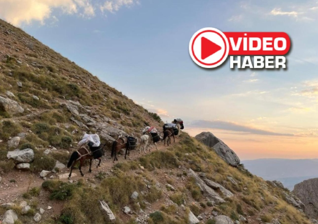 Aladağlar'ın Katırları, Dağcıları Zirveye Taşıyor