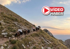 Aladağlar'ın Katırları, Dağcıları Zirveye Taşıyor