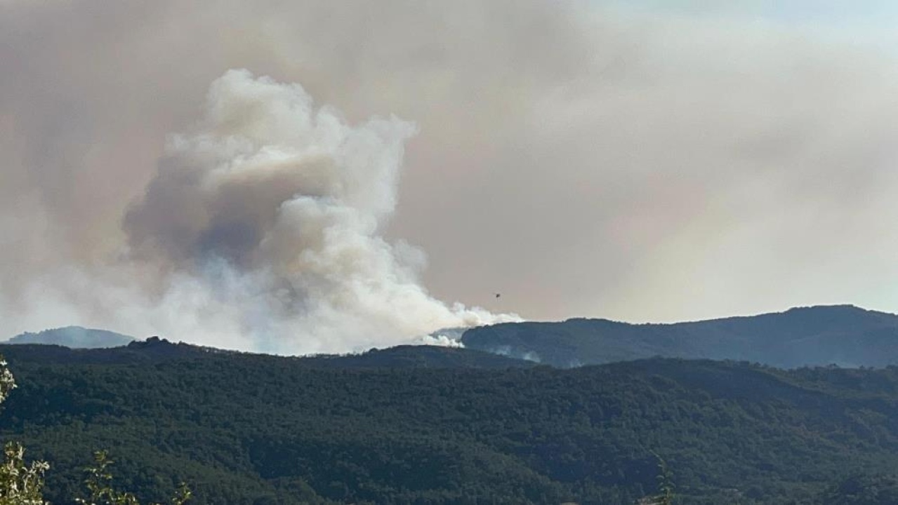 Alevlerin Arasında Kalan 10 Orman Görevlisi Şehit Düştü