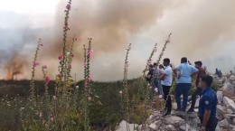 Antalya, Bursa ve Muğla'da Orman Yangınları!
