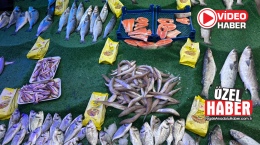 Balık alırken dikkatli olun! İşte taze balığı anlama yöntemi