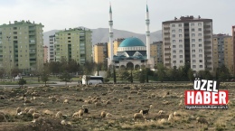 Bu mu marka kent? 