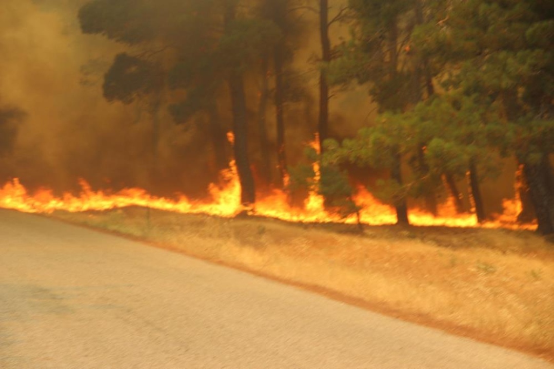 Çanakkale’deki orman yangınları büyük ölçüde kontrol altına alındı