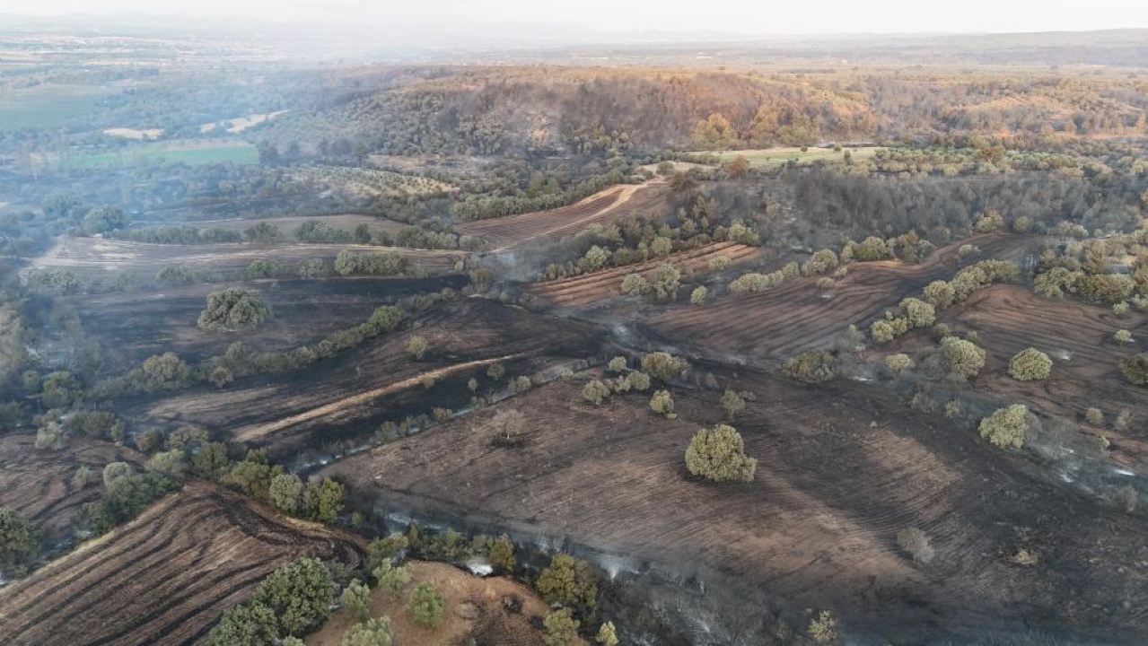 Çanakkale’deki orman yangınları kontrol altına alındı