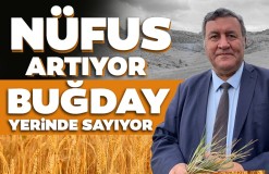 CHP Niğde Milletvekili Ömer Fethi Gürer, buğday üretim miktarıyla ilgili olarak Tarım ve Orman Bakanlığını soru yağmuruna tuttu…