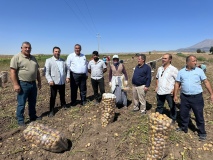 Çiftçiler Borçlarını Ödeyemiyor, Ürünler Tarlada Kaldı