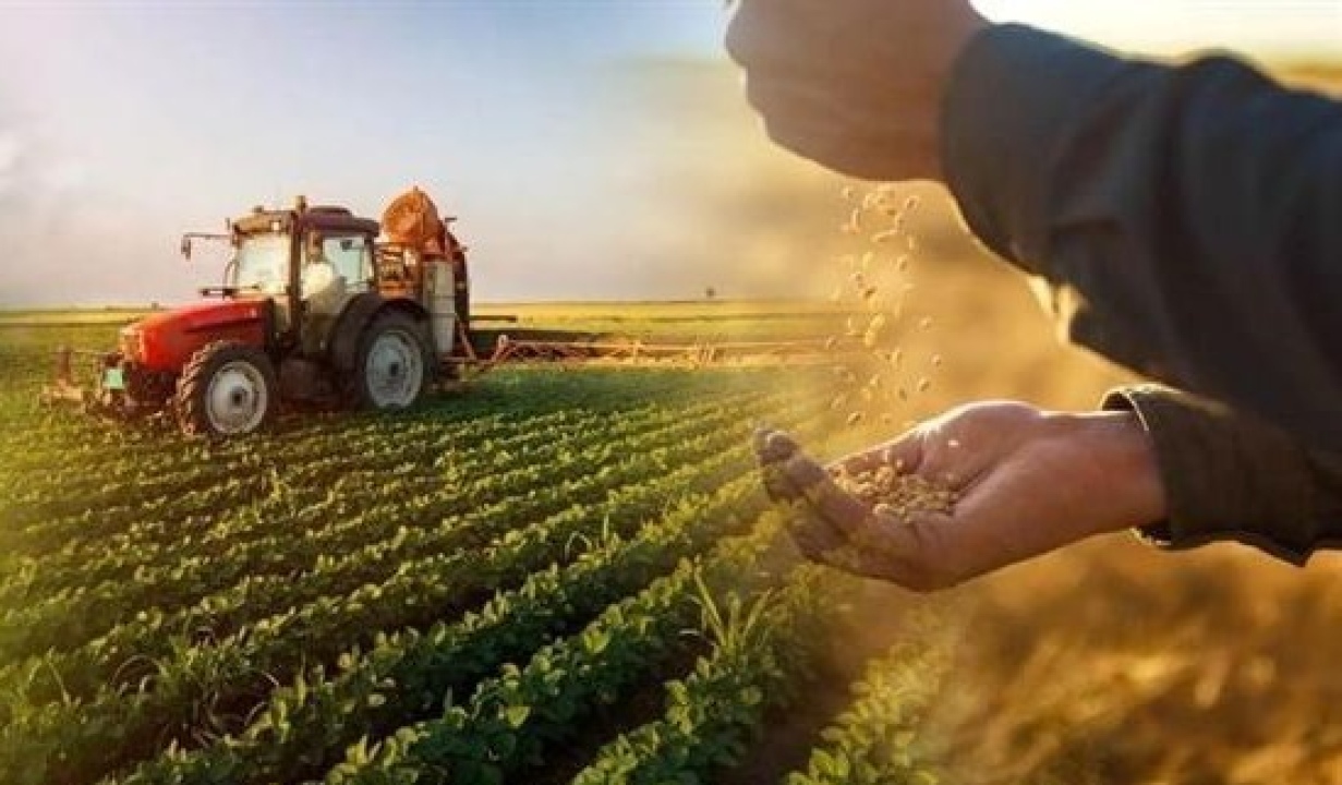 Çiftçilere 331 milyon TL destek ödemesi