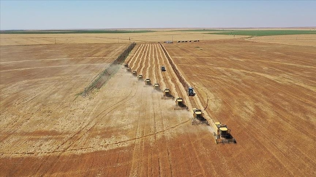 Çiftçilere müjde: Destek ödemeleri hesaplara geçti