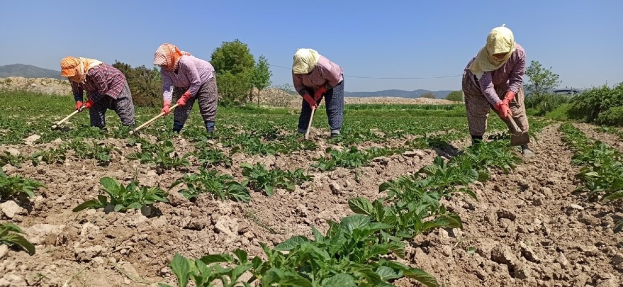 Çiftçinin borcu son 5 yılda 7 kat arttı!