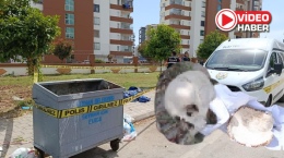 Çöpte bulunan kafatasının sırrı ortaya çıktı