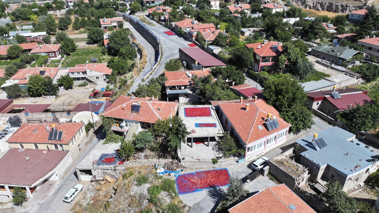 Damlarda kuruyan Cırgalan biberi sofralara lezzet katıyor