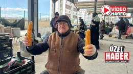 Dedesinden kalma ata tohumlarını üretip satıyor