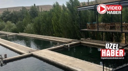 Doğanın kalbinde lezzetli balık üretimi