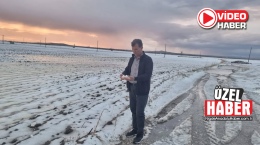 Dolu yağışı Niğde’de 20 bin dekar alanı vurdu!