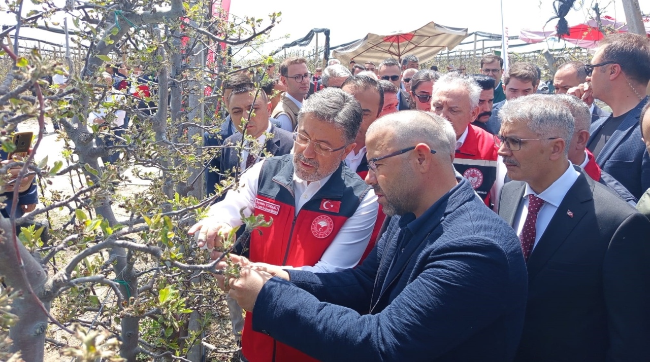 Niğde'de don felaketi ve tarımsal hasar masaya yatırıldı