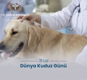 Dünya Kuduz Günü için Niğde’de farkındalık çağrısı